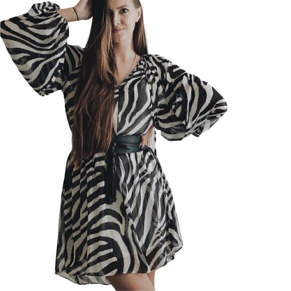 <<3/$30>> H&M Zebra Print Balloon Sleeve Peasant Dress - Size Small - Picture 3 of 7